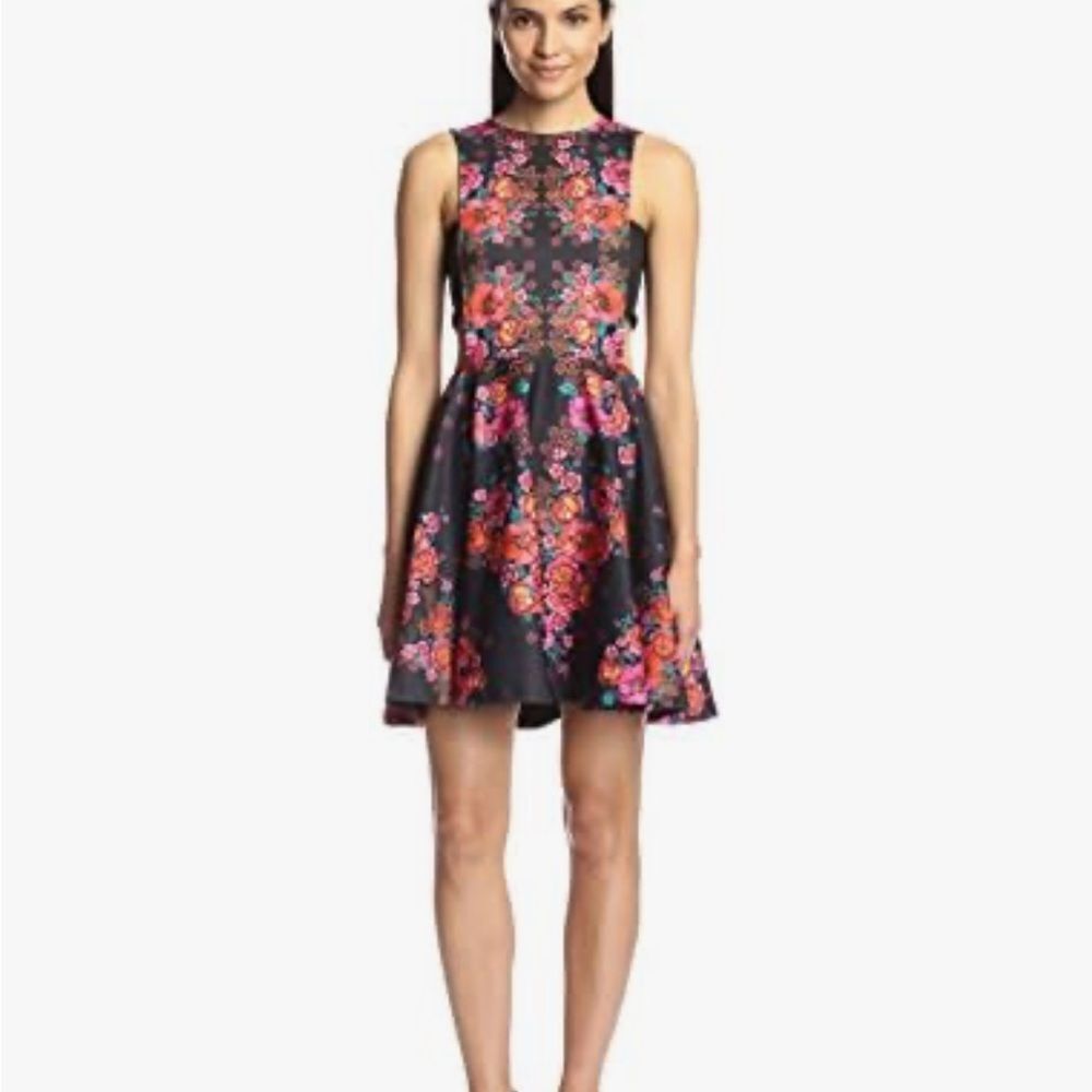 Ronny Kobo Yani Black Floral Folklore Print Scuba Mini Dress | M
